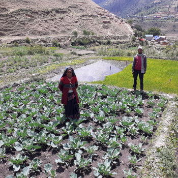 fornisci ad una donna nepalese gli STRUMENTI per un' ATTIVITÀ AGRICOLA - immagine